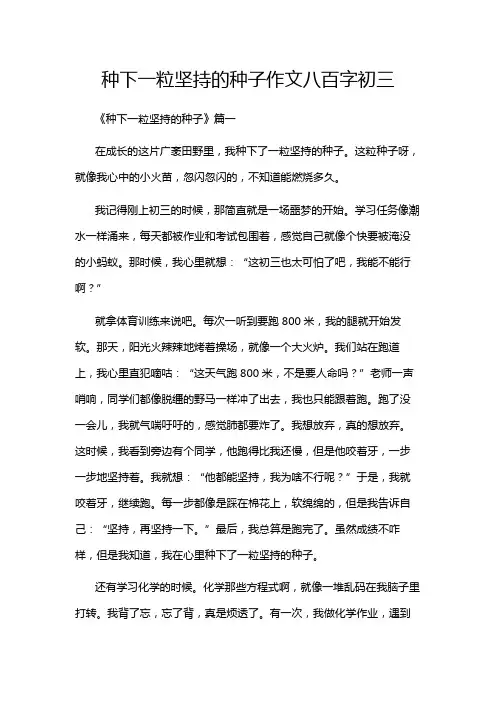 种下一粒坚持的种子作文八百字初三