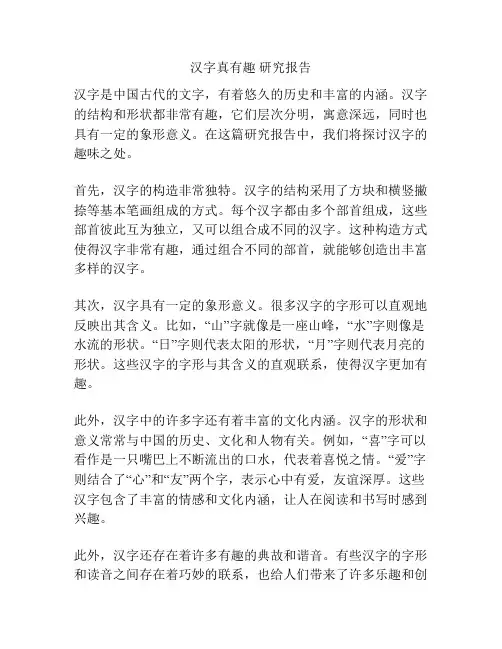 汉字真有趣 研究报告