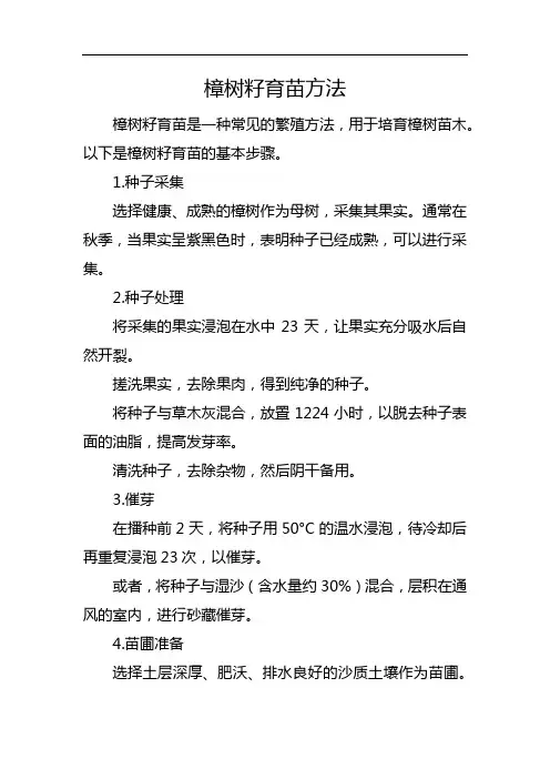 樟树籽育苗方法