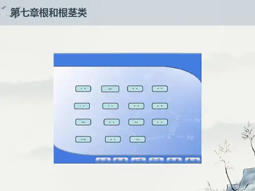 根和根茎类生药2甘草人参三七黄芩地黄