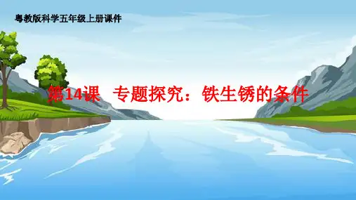 专题探究铁生锈的条件课件
