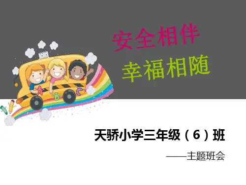 安全相伴,幸福相随班会39页PPT