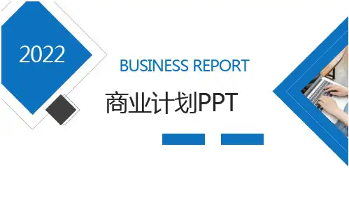 软件开发项目策划PPT模板