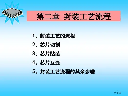 第二章 封装工艺流程