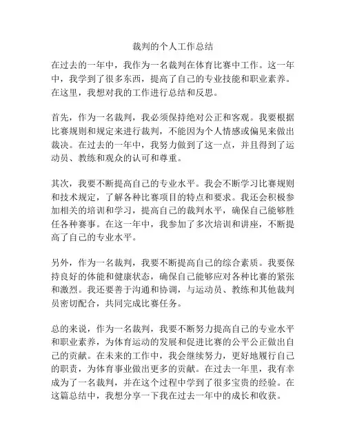 裁判的个人工作总结
