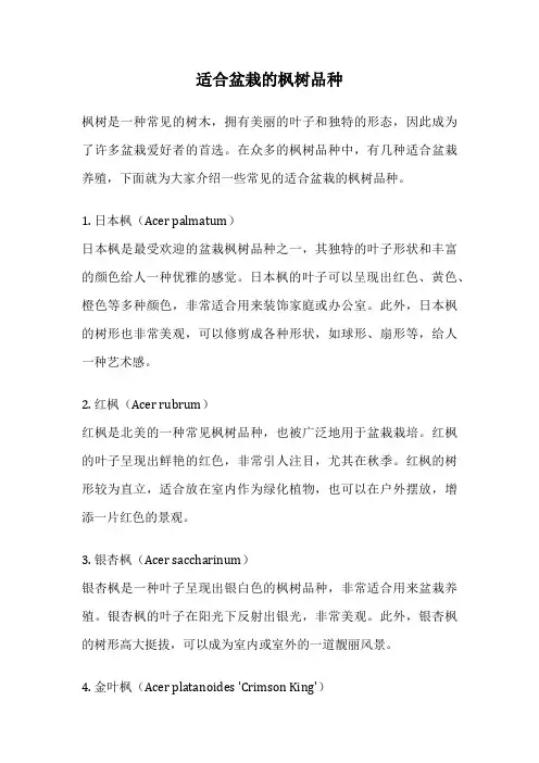 适合盆栽的枫树品种