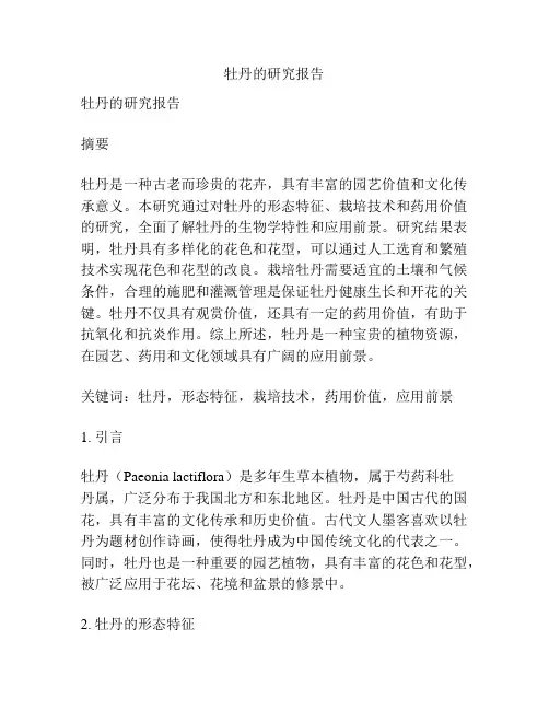 牡丹的研究报告