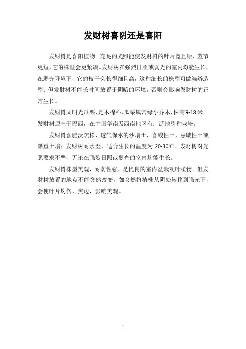 发财树喜阴还是喜阳
