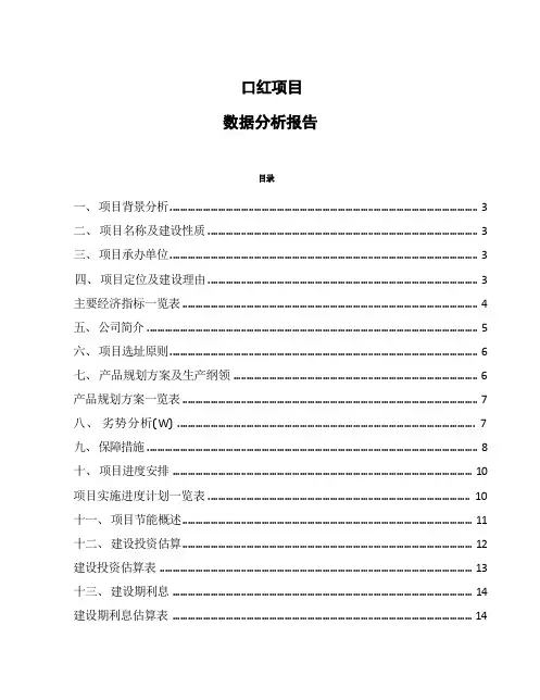 口红项目数据分析报告