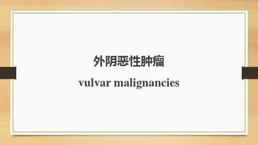 外阴恶性肿瘤