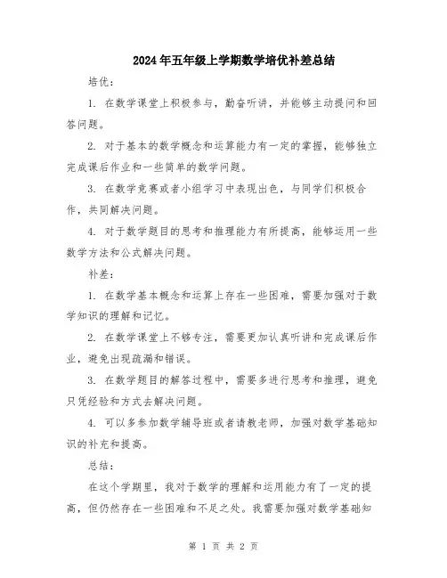 2024年五年级上学期数学培优补差总结