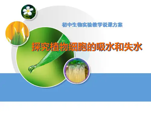 北师大版七年级上册.3吸收作用(第一课时)说课课件