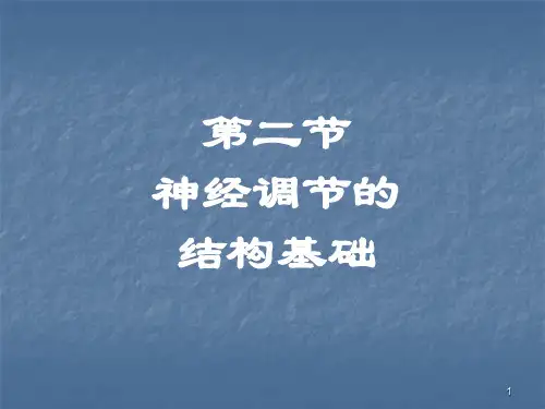 神经调节的结构基础ppt课件