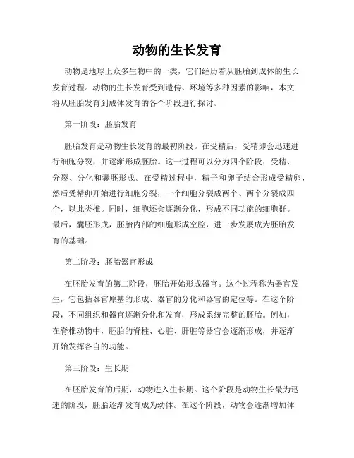 动物的生长发育