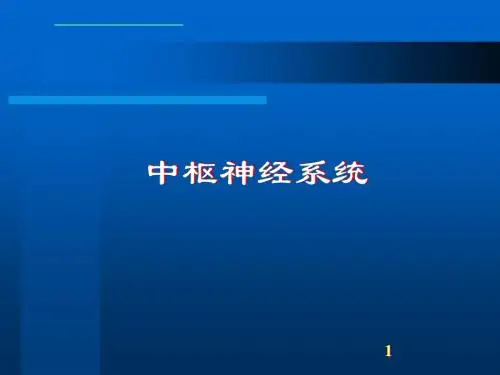 颅骨解剖ppt课件