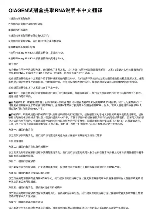 QIAGEN试剂盒提取RNA说明书中文翻译
