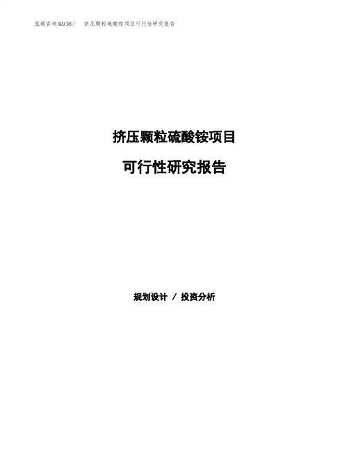 挤压颗粒硫酸铵项目可行性研究报告模板及范文