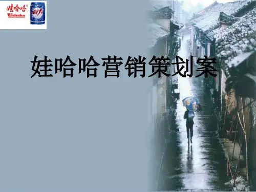 娃哈哈营销策划案