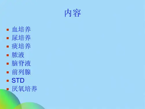 微生物标本接种[1](共81张PPT)