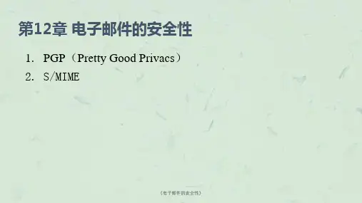 《电子邮件的安全性》课件