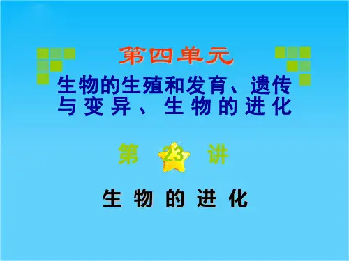 高考生物第一轮总复习 第23讲生物的进化课件(广西专版)