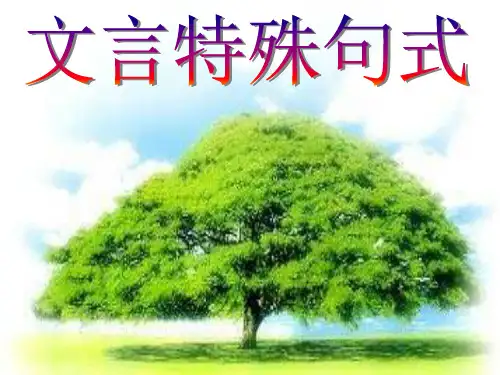 高考复习文言文特殊句式ppt4