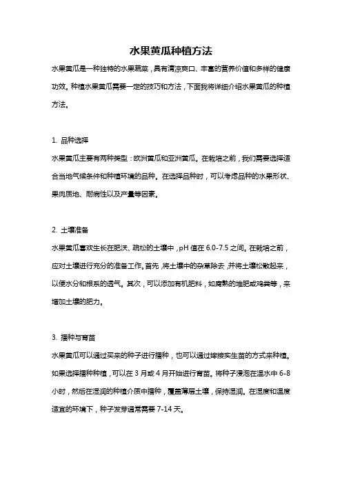 水果黄瓜种植方法