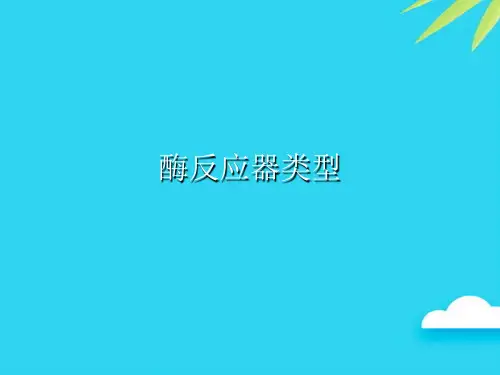【正式版】酶反应器类型PPT