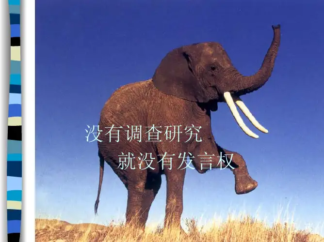 第4章 市场营销调查(1)