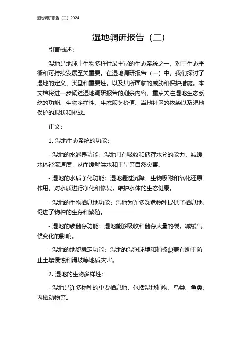湿地调研报告(二)2024