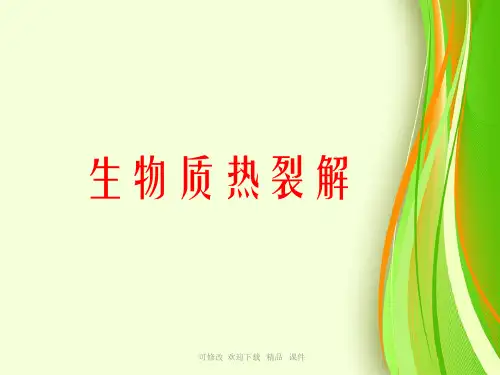 生物质热裂解精品课件