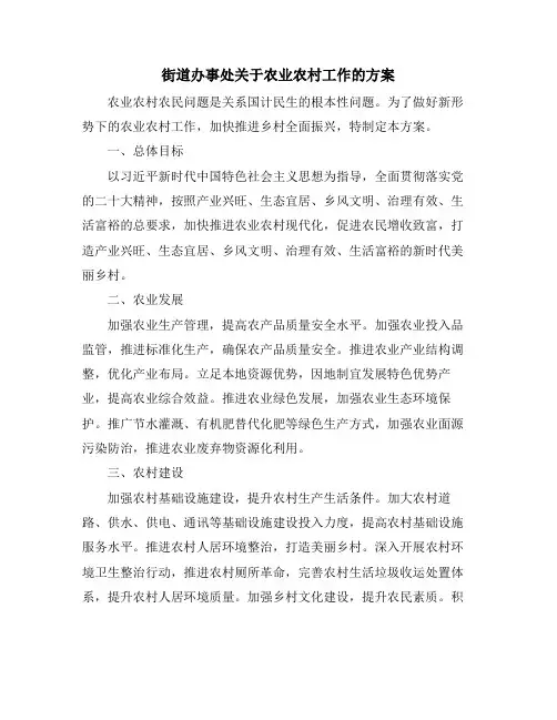 街道办事处关于农业农村工作的方案