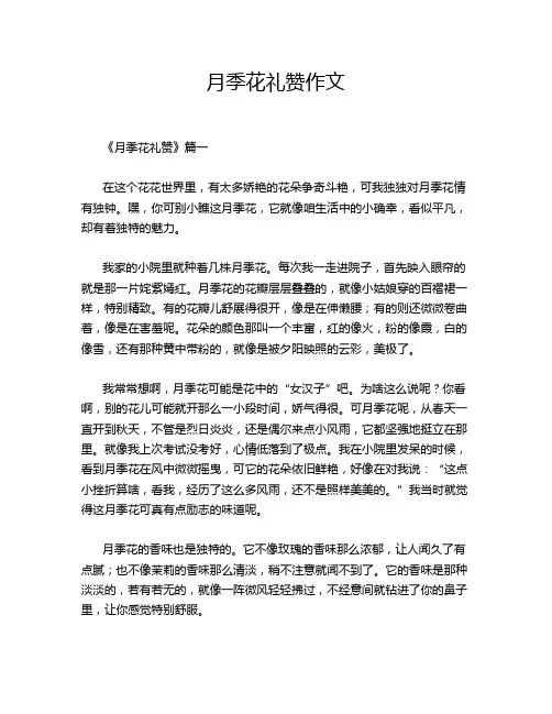 月季花礼赞作文