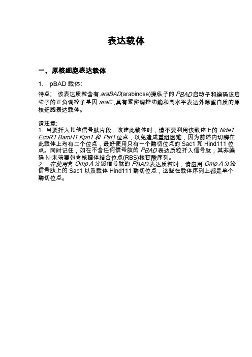 各种表达载体