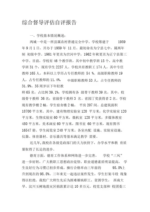 综合督导评估自评报告
