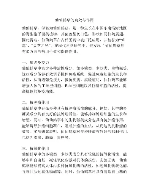 仙仙鹤草的功效与作用
