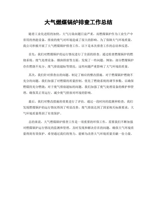 大气燃煤锅炉排查工作总结