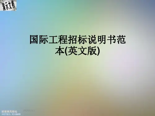国际工程招标说明书范本(英文版)