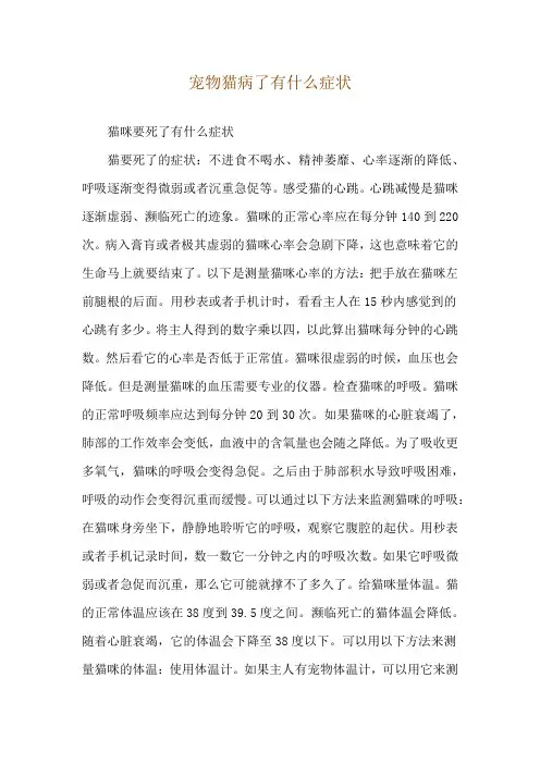 宠物猫病了有什么症状