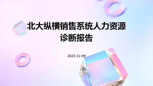北大纵横销售系统人力资源诊断报告