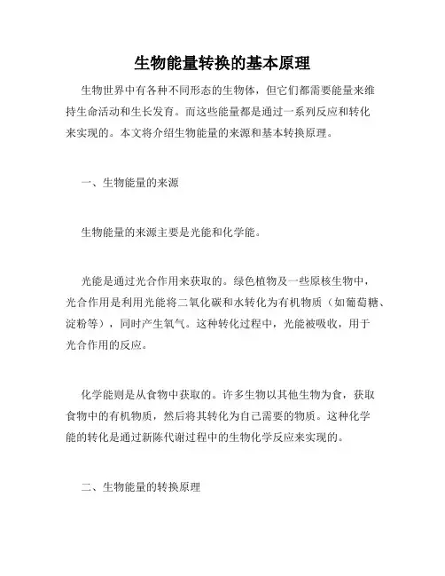 生物能量转换的基本原理