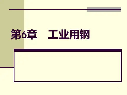 工程材料 第6章  工业用钢PPT课件