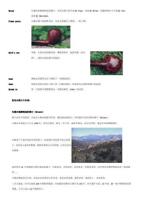 烟斗入门