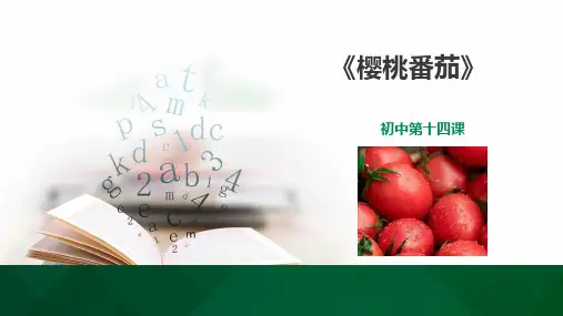 初中第十四课《樱桃番茄》课件
