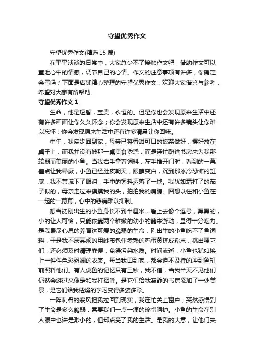 守望优秀作文