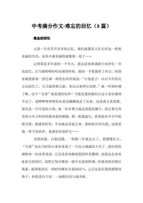 中考满分作文-难忘的回忆(3篇)