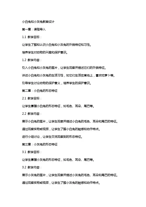 小白兔和小灰兔教案设计