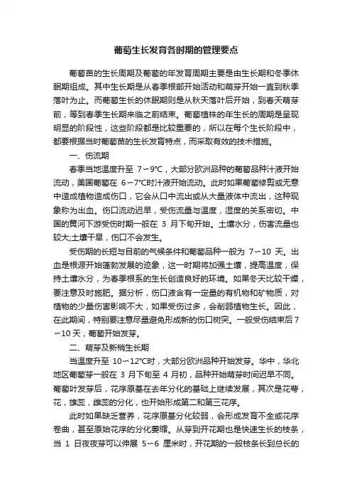 葡萄生长发育各时期的管理要点
