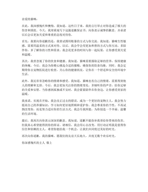 对猫咪道歉的保证书