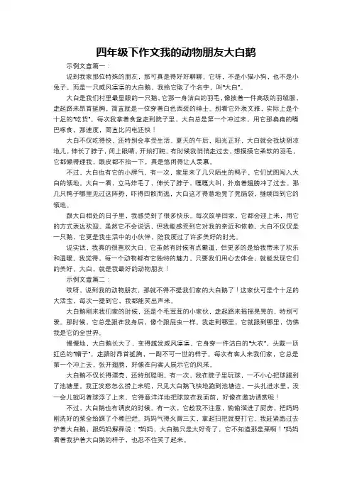 四年级下作文我的动物朋友大白鹅